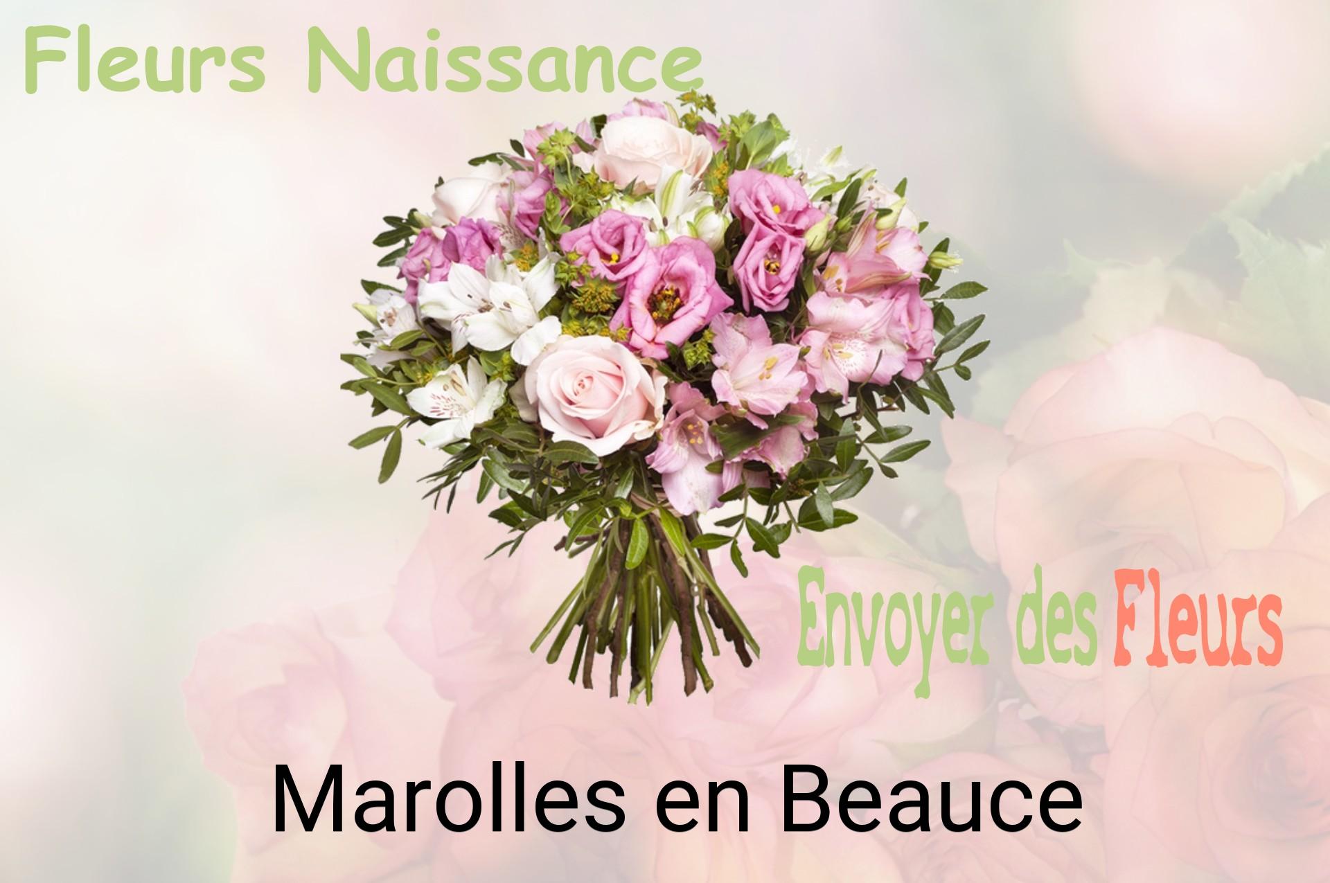 Bouquet de fleurs de naissance livré à Marolles-en-Beauce